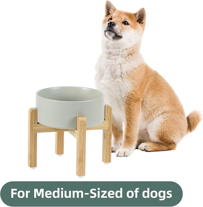 Ceramic Raised Dog Bowl Set, Elevated