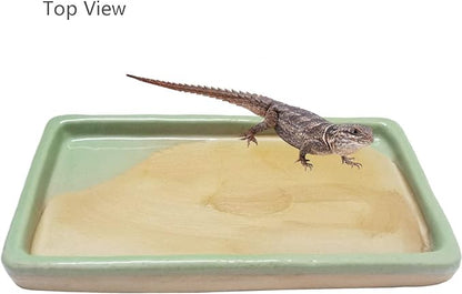 Reptile Feeding Dish Bowl Food and Water Bowl Tortoise Dish Reptile Tank Decor, Heavy Duty Ceramic Feeding Dish, Large Size