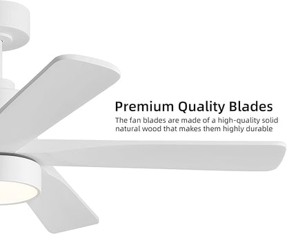 WINGBO 48 Inch DC Ceiling Fan