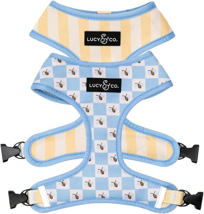 Lucy & Co. Reversible Dog Harness - Water-Repellent Neoprene, Dual-Print Design, Easy Swap Style, Adjustable Comfort Fit - Bumbling Around Reversible Harness - Small