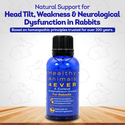 HA4E - Rabbit E. Cuniculi Infection Treatment - Natural, Homeopathic Support for Prevention & Immunity Boost - 300 Tablets