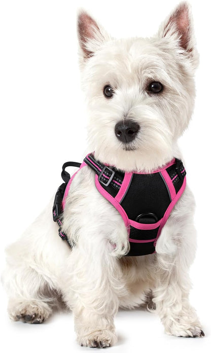 rabbitgoo Dog Harness No Pull with 2 Leash Clips, Adjustable Soft Padded, Reflective Oxford No Choke Pet Vest with Easy Control Handle for Large Dogs, Black & Hot Pink, XS