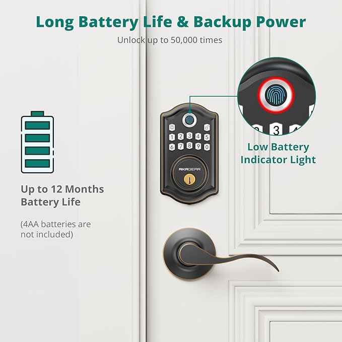 DS10 Pro Keyless Entry Door Lock