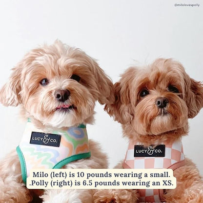 Lucy & Co. Reversible Dog Harness - Water-Repellent Neoprene, Dual-Print Design, Easy Swap Style, Adjustable Comfort Fit - Just Chill Reversible Harness - Large