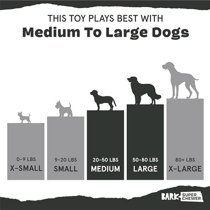 Barkbox Sven The Hedgie Super Chewer Dog Toy | Natural Rubber, Wacky Bounce & Rippled Texture | Durable Dog Toy for Aggressive Chewers, Medium to Large Dogs