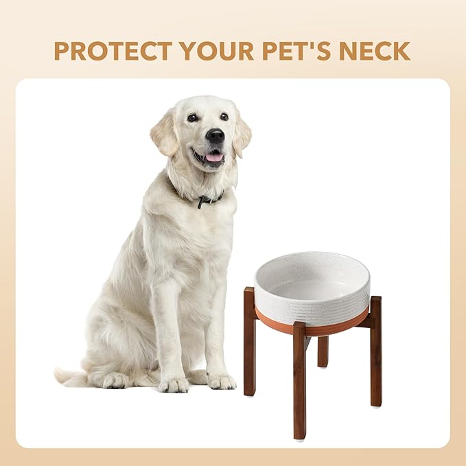 Ceramic 8.2inch Raised Dog Bowl Set, Elevated