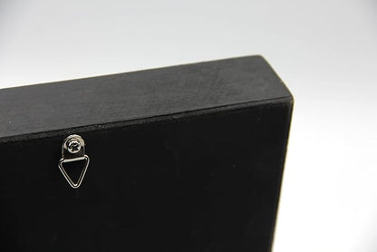 Real Giant Bird Eating Tarantula EURYPEIMA SPINCRUS Spider Taxidermy Transparent Boxed Display (Black Wooden Box)