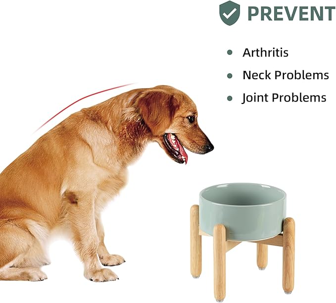 Ceramic 7.3inch Raised Dog Bowl Set, Elevated