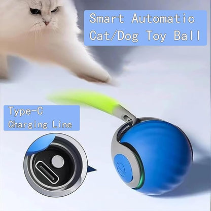 2 Pack Automatic Moving Dog Toy Ball,Smart Interactive Cat Toy Ball with Tail&Interactive Sensor,(Orange & Blue)