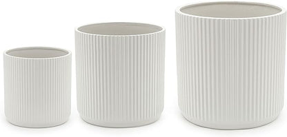 Amazon Basics Fluted Ceramic Planters for Indoor Outdoor Plants, Round Flower Pots with Drainage Hole, Set of 3, 6 inch, 8 inch, 10 inch, White