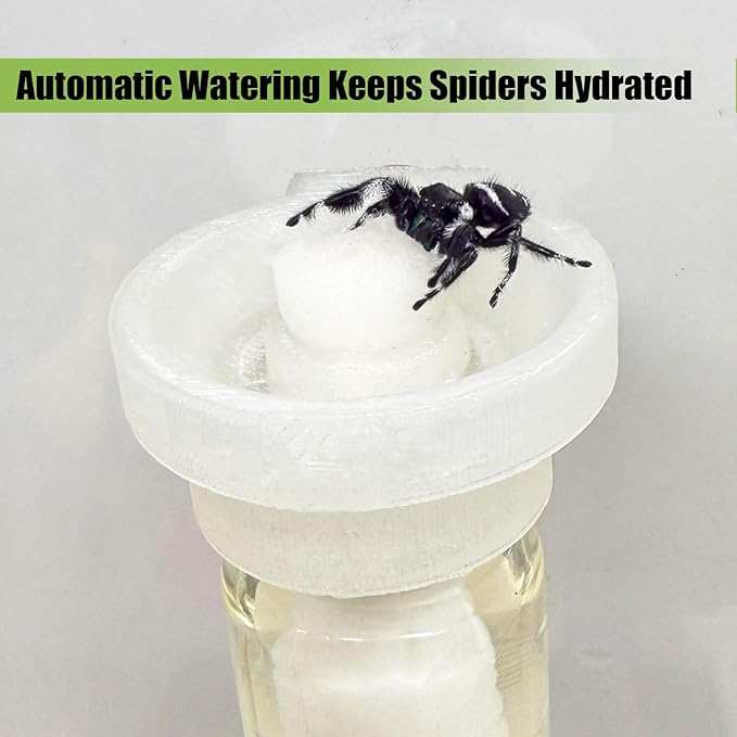 Jumping Spider Water Dispenser, Magnetic Hanging Feeder,Suitable for Jumping Spiders,Tarantulas, Praying Mantises,Arboreal Animals, and Other Small Animal Enclosure Accessories (Transparent, 10ML)
