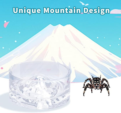 Jumping Spider Enclosure Accessories, 2 Pack Glass Feeding Dish for Food and Water, Little Food Bowl for Jumping Spider, Tarantula, Beetle and Other Small Pets