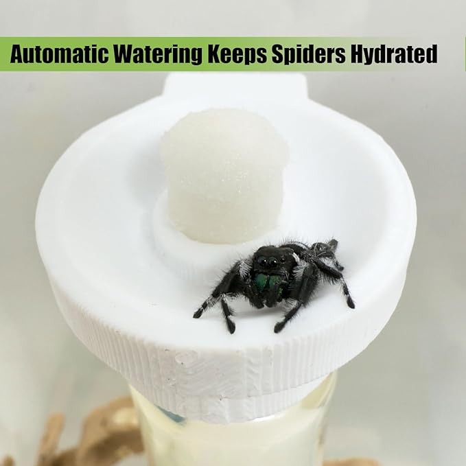 Jumping Spider Water Dispenser, Magnetic Hanging Feeder,Suitable for Jumping Spiders,Tarantulas, Praying Mantises,Arboreal Animals, and Other Small Animal Enclosure Accessories (White, 5ML)