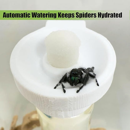 Jumping Spider Water Dispenser, Magnetic Hanging Feeder,Suitable for Jumping Spiders,Tarantulas, Praying Mantises,Arboreal Animals, and Other Small Animal Enclosure Accessories (White, 5ML)