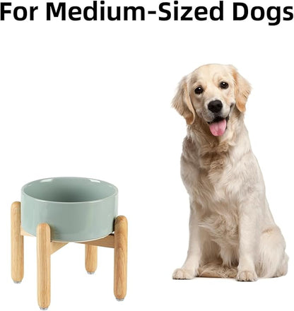 Ceramic 7.3inch Raised Dog Bowl Set, Elevated