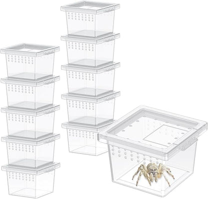 Pawfly 10 Pcs Mini Spider Terrarium Breeding Box, Transparent Plastic Jumping Spider Enclosure Cricket Keeper Tarantula Enclosure, Small Reptile Hatching Container for Scorpion Centipede Gecko Mantis