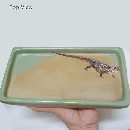 Reptile Feeding Dish Bowl Food and Water Bowl Tortoise Dish Reptile Tank Decor, Heavy Duty Ceramic Feeding Dish, Large Size