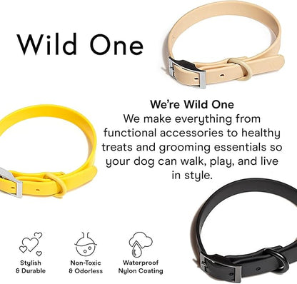 Wild One Dog Collar, Easy-Clean, All Weather Flex-Poly Strap with Metal, Durable, Dirt and Odor Resistant (Black, M)