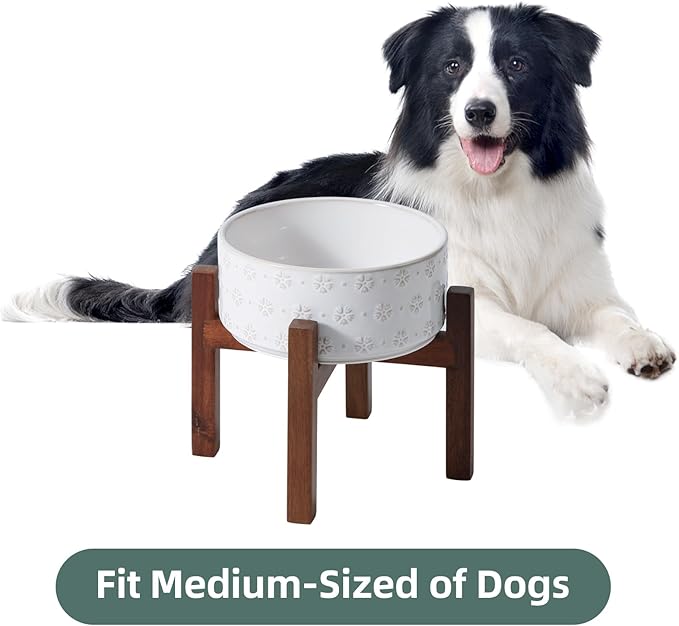 7.3inch Ceramic Raised Dog Bowl Set, Elevated