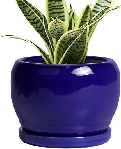SQOWL Ceramic Planters for Indoor Plants - 6 Inch Plant Pot with Drainage Hole and Saucer, Round Small Planter, Modern Decorative Flower Pot Outdoor, Living Room Decor, Garden Gifts for Women, Blue