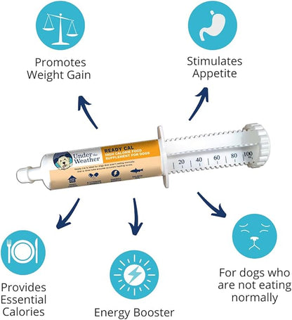Under the Weather Pet | Ready Cal for Dogs 100cc | High Calorie Supplement | Weight Gainer and High Calorie Booster | 10 Vitamins, 7 Minerals & Omega Fatty Acids