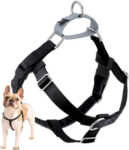2 Hounds Design Freedom No Pull Dog Harness, Adjustable Harness, Easy Walking & Comfortable Control, Fits Small, Medium & Large Dogs, Solid Colors, Made in USA, 1" LG, Black