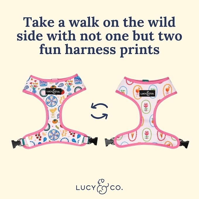 Lucy & Co. Dolce Vita Reversible Dog Harness, Adjustable Comfort Fit with Dual Leash Attachments, X-Large