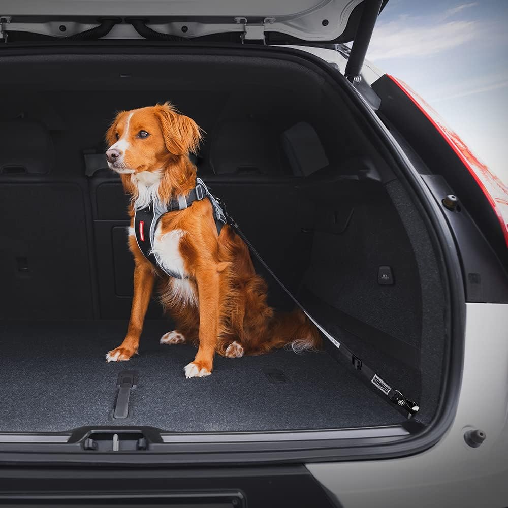 EzyDog Click ISOFIX Standard - Dog Seat Belt Car Harness Attachment for Dogs - Adjustable Dog Restraints Seatbelts for Car Travel and Safety - (17in - 26in, Black)
