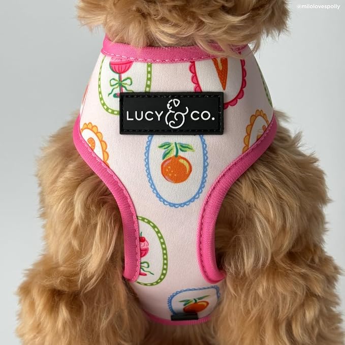 Lucy & Co. Dolce Vita Reversible Dog Harness, Adjustable Comfort Fit with Dual Leash Attachments, X-Large