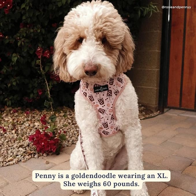 Lucy & Co. Reversible Dog Harness - Water-Repellent Neoprene, Dual-Print Design, Easy Swap Style, Adjustable Comfort Fit - Iced Coffee SZN Reversible Harness - Small
