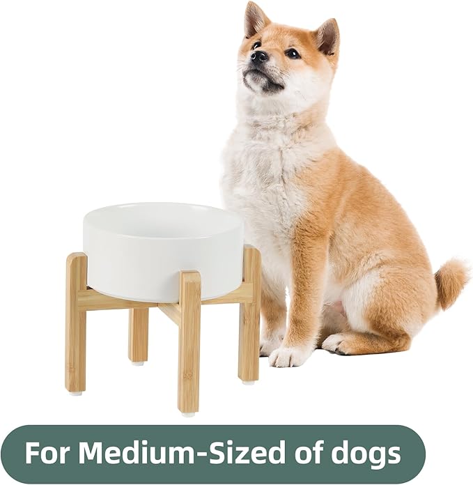 Ceramic Raised Dog Bowl Set, Elevated