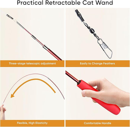 Cat Toys for Indoor Cats, 13 Packs Interactive Cat Wand Toy Set with Feather Toys & Teasers, Fun Cat Toys for Exercise, Playtime and Boredom Relief