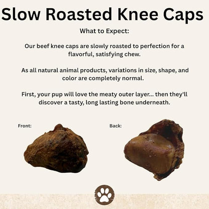 Top Dog Chews – Knee Caps, 10 Count, Dog Beef Chew Bones, Long Lasting Treats for Aggressive Chewers, Perfect for Large Medium, or Small Dogs, Made in USA
