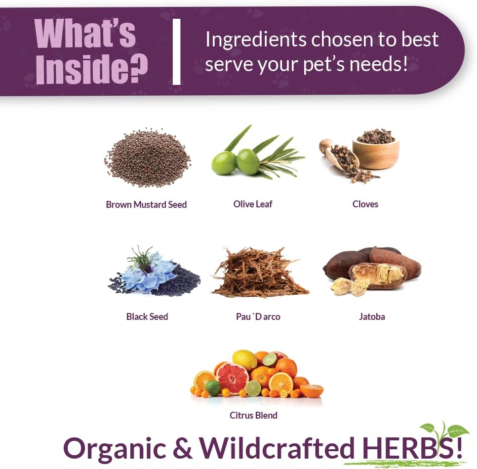 Amber NaturalZ Vibactra Plus Herbal Supplement for Dogs, Cats, Birds, Guinea Pigs, and Rabbits | Herbs for Immune Health and Yeast Balance | 1 Fluid Ounce Glass Bottle