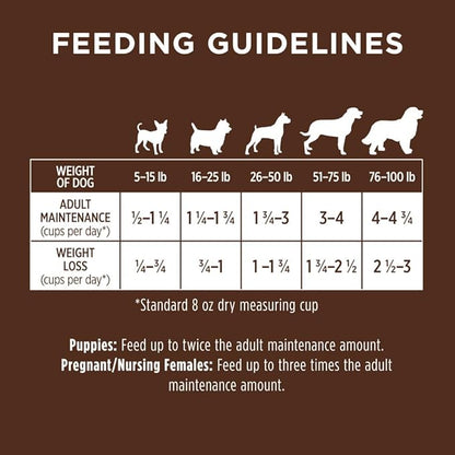Instinct Be Natural, Natural Dry Dog Food, Raw Coated Kibble - Real Lamb & Oatmeal, 24 lb. Bag