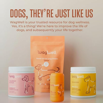 WagWell Freeze Dried Cheese Dog Treats - Grain-Free, High-Protein Pasteurized Dog Treats Made in The USA - Human-Grade, Minimally Processed & Preservatives Free