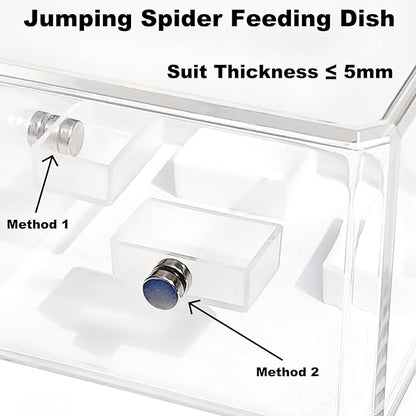 10 Pcs Jumping Spider Enclosure Kit, Magnetic Jumping Spider Feeding Dish, Mini Tarantula Water Dish, Tiny Reptile Feeding Tongs, Jumping Spider Accessories for Spoods and Other Small Pets