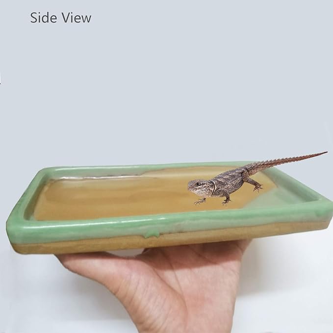 Reptile Feeding Dish Bowl Food and Water Bowl Tortoise Dish Reptile Tank Decor, Heavy Duty Ceramic Feeding Dish, Large Size