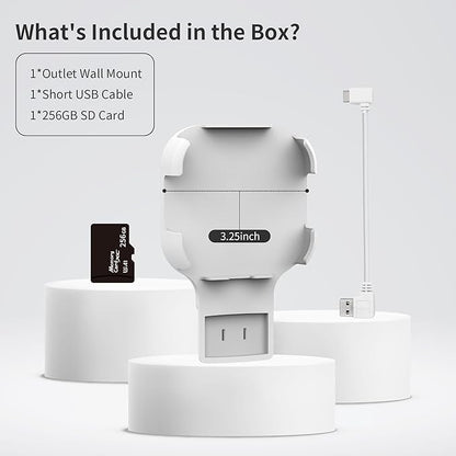 256GB MicroSD Card & Wall Mount