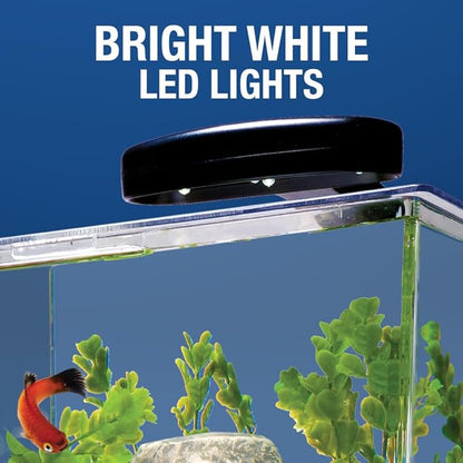 Tetra 3 Gallon Fish Tank, Aquarium Starter Kit with Pedestal Base, LED Light and Filter, For small tropical fish, guppies, goldfish, or betta