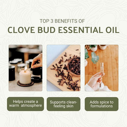 Clove Essential Oil