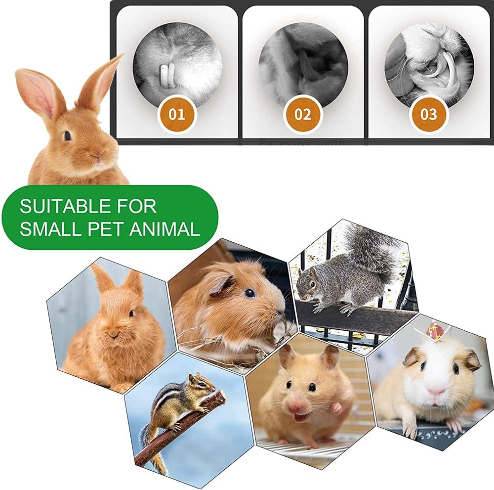 Rabbit Toys, 3 Types Hamster Chew Toys for Teeth Grinding, Improve Dental Health, Best Bunny Toys for Rabbits, Guinea Pigs, Chinchillas, Hamsters