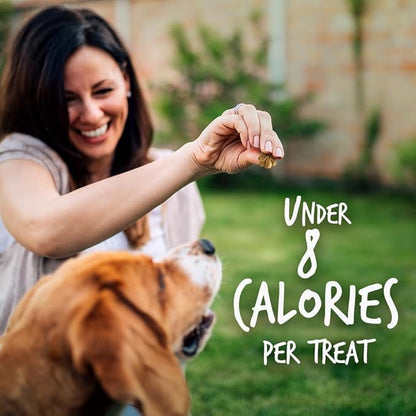 Fruitables Baked Dog Treats, Healthy Pumpkin Snacks for Dogs, Low Calorie & Delicious, No Wheat, Corn or Soy, Puppy Training Treats, Made in the USA, Pumpkin and Cranberry Flavor, 7oz