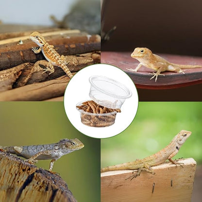 100 Pcs Gecko Food and Water Cups Small Plastic Feeder Cups Reptiles Accessories Reptile Water Bowl Gecko Food Cups Reptile Feeding Bowls for Gecko Lizards Tarantula and Other Small Pets (0.5oz)