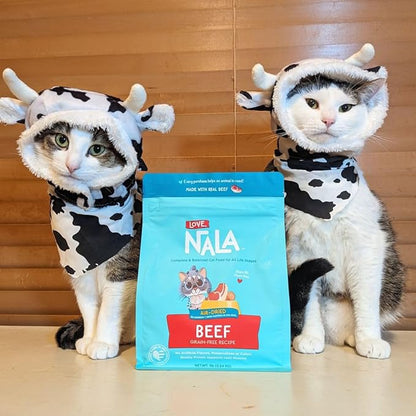 LOVE, NALA - Beef Air Dried Cat Food - Award Winning - Made in USA - Complete & Balanced Cat Food for All Life Stages- 1 Bag - 1 lb.