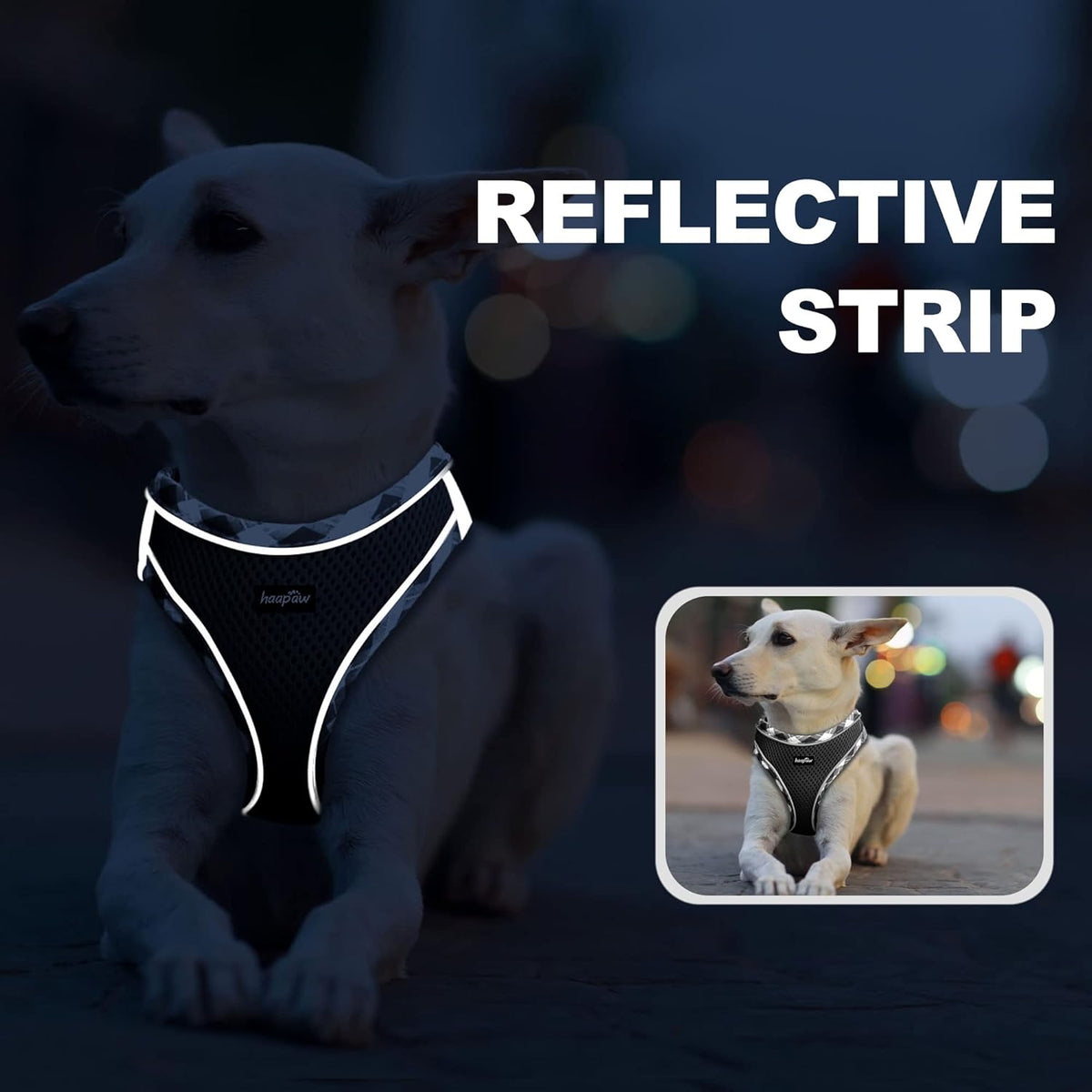 haapaw Dog Harness with Leash Set, No Pull Adjustable Reflective Step-in Puppy Harness with Thickened Padded Vest for Extra-Small/Small Medium Dogs