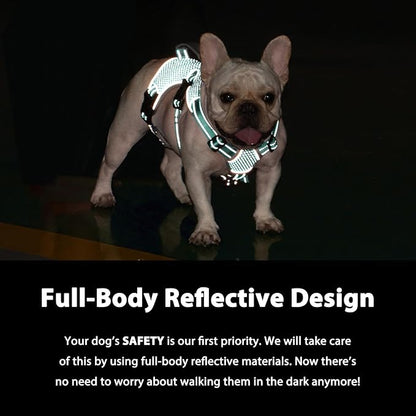 Escape Proof Dog Harness, Dachshund Harness, Reflective Dog Harness with Handle, Durable,Adjustable Vest for Small Medium Large Dogs Walking, Training, and Running Gear (Mint Green,XL)