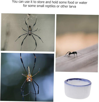 UKCOCO 36 Pcs Basin Mini Resin Animals Tarantula Enclosure Drink Containers Reptile Water Bowl Ceramic Pet Bowls Hamster Food and Water Bowl Mini Ceramic Bowl for Pet Water Feeder Sink