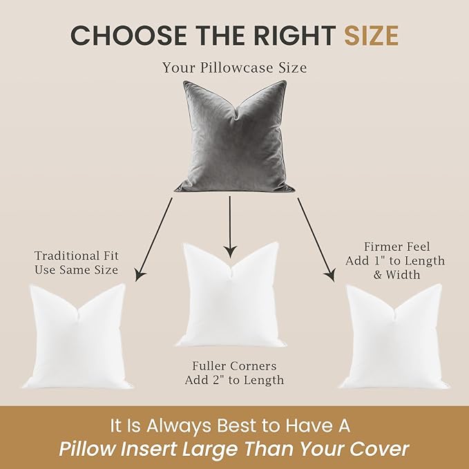 BHZ Euro Throw Pillow Inserts, 22x22 Down Feather Alternative Pillow Inserts Set of 2, Decorative Soft Large Square White Throw Pillows Insert for Couch Bed Dorm Sofa with Cotton Cover