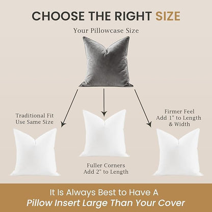 BHZ Euro Throw Pillow Inserts, 22x22 Down Feather Alternative Pillow Inserts Set of 2, Decorative Soft Large Square White Throw Pillows Insert for Couch Bed Dorm Sofa with Cotton Cover